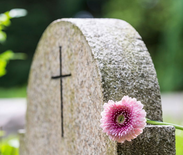 Blume vor einem Grabmal