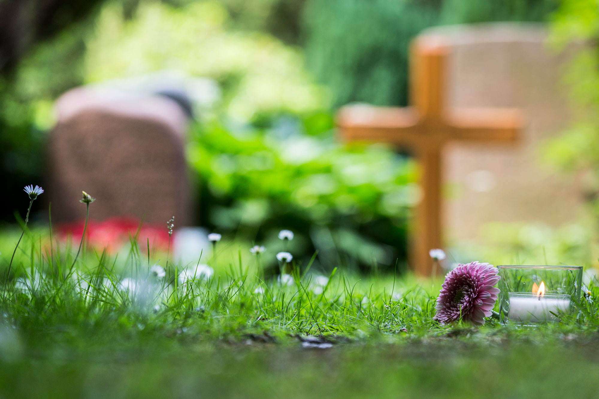 Blume und Teelicht an einem Grab